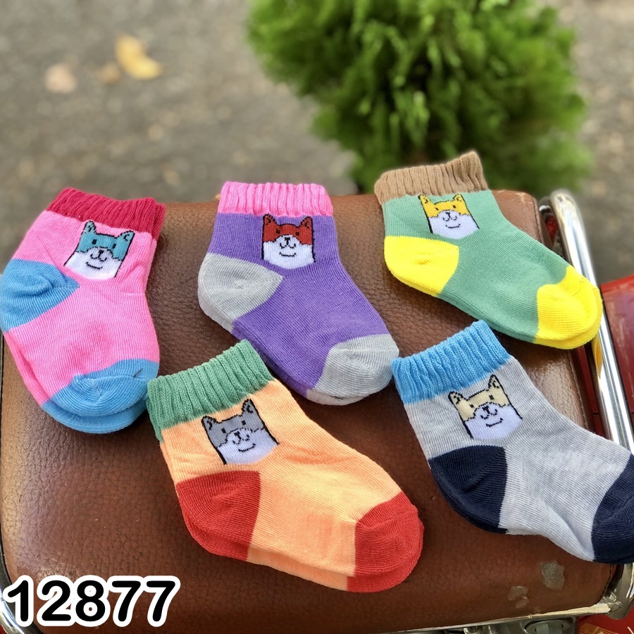 SET 5 VỚ NHIỀU HÌNH DỄ THƯƠNG CHO BÉ 1-12T