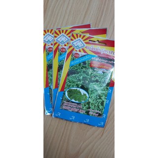 Hạt giống kale xoăn curly kale nhập khẩu thái lan