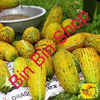 Hạt giống Dưa lê quả dài Yang Jiao Mi F1 - Dưa lê chuối GÓI 20 HẠT