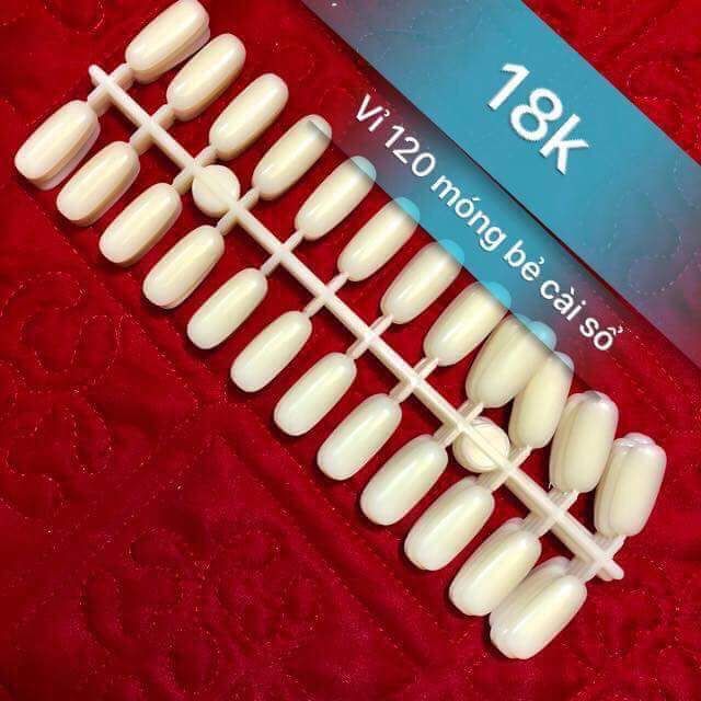 Vỉ móng 120 móng gài sổ