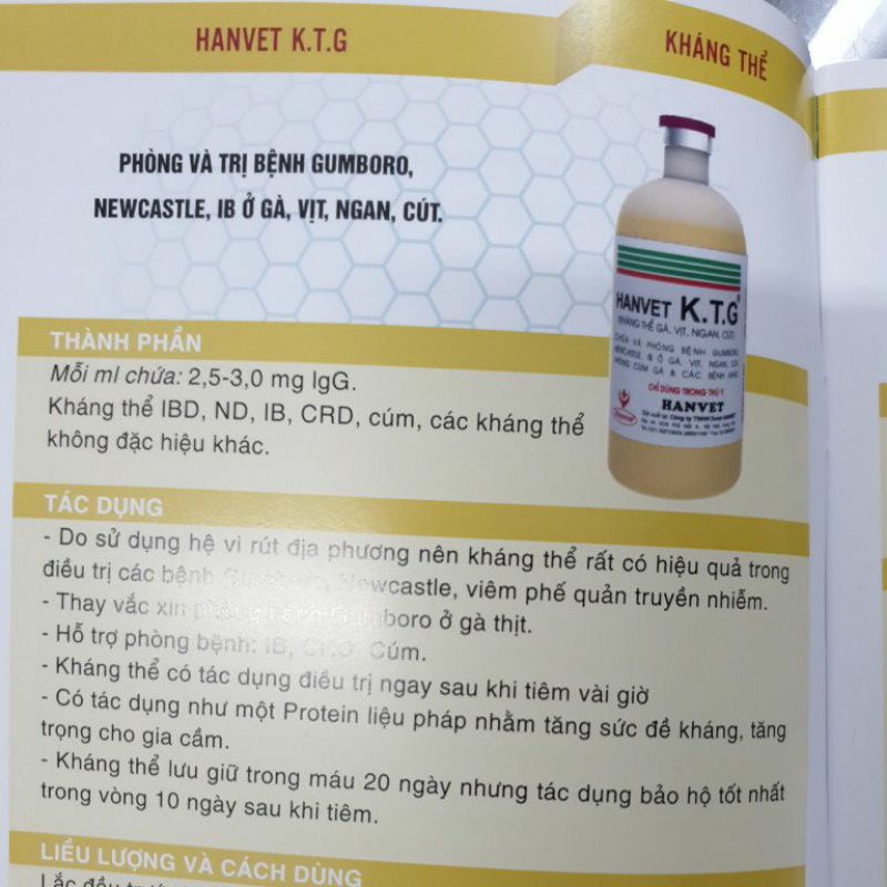 (chỉ ship hỏa tốc hà nội) ktg 50. 100ml