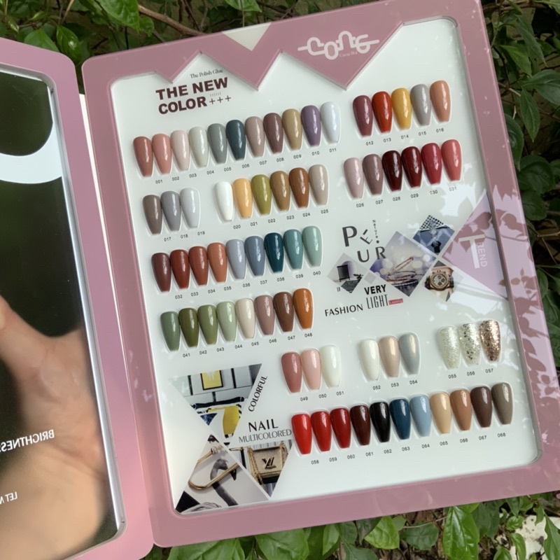 Set sơn gel cao cấp Pincheng  68 màu