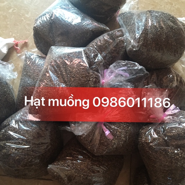 Đổ sỉ hạt muồng 10kg