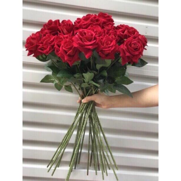 hoa giả - cành hồng nhung giả bông to cành dài 70cm - hàng nhập khẩu cao cấp