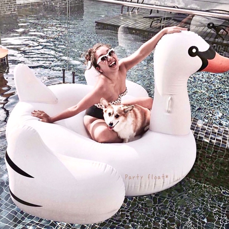 Phao Bơi Thiên Nga Swan Trắng 150cm Người Lớn Kèm Bơm + Phao Mini