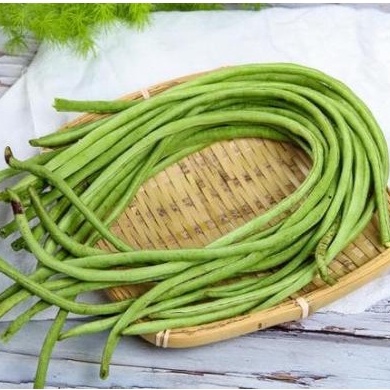 10g HẠT GIỐNG ĐẬU ĐŨA NGỌT CAO SẢN