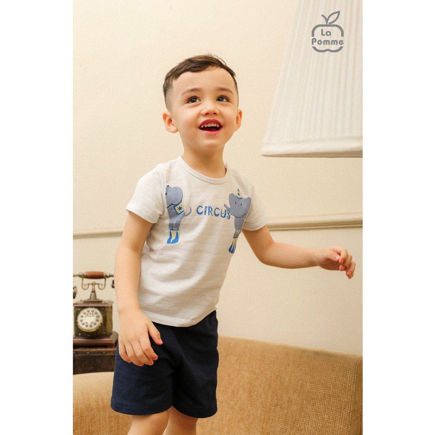 BỘ CỘC TAY XIẾC THÚ
