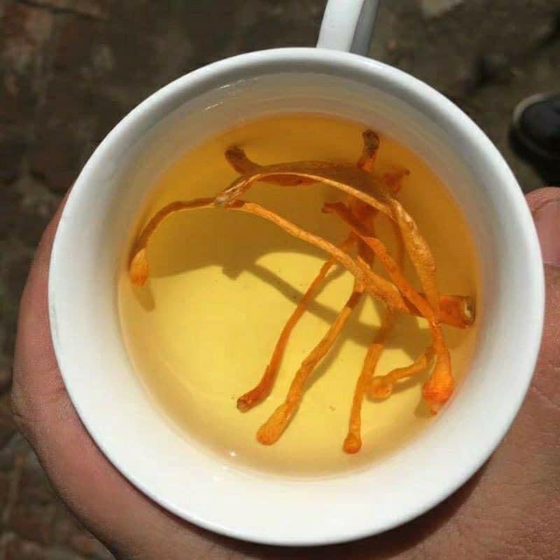 Đông trùng hạ thảo 1 kg =2 túi 500gr  loại xịn