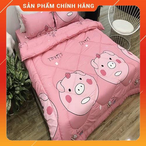 Bộ chăn phao trần bông ga gối 5 món chất liệu cotton poly đồng bộ màu sắc nhã nhặn | BigBuy360 - bigbuy360.vn