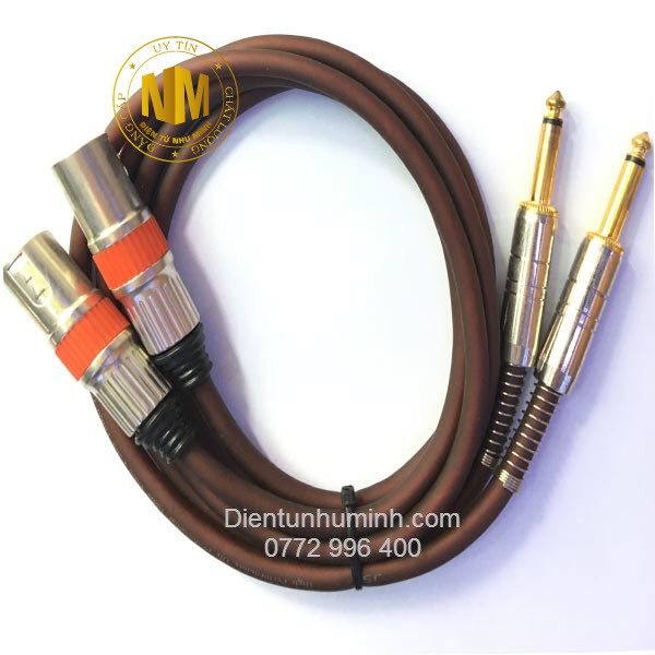 Cặp Dây Jack Canon Đực ra 6.5mm dài 1m