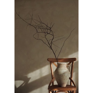 Nhánh cây khô trang trí, decor