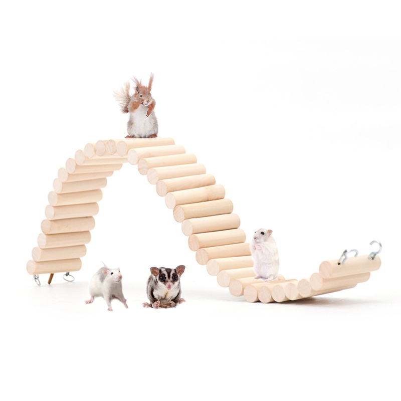 Cầu Thang Dây Leo Đồ Chơi Cho Vẹt