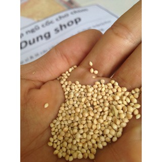 hạt kê trắng nguyên vỏ cho chim 1kg