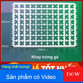 KHAY ẤP TRỨNG-KHAY ĐỰNG TRỨNG-KHAY NHỰA ĐỰNG TRỨNG-KHAY MÁY ẤP TRỨNG CHIM BỒ CÂU