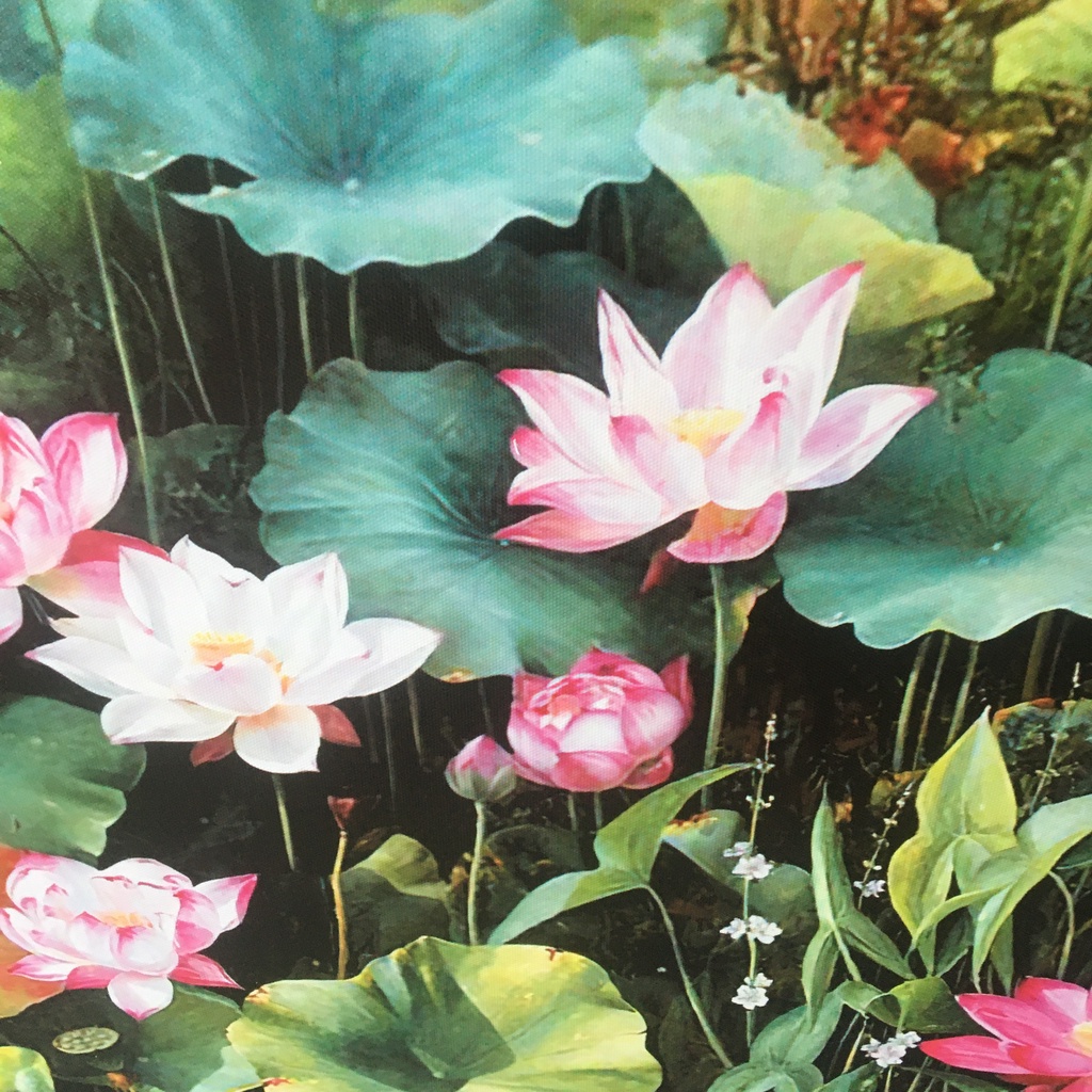 Tranh hoa sen - in canvas kích thước 60x90