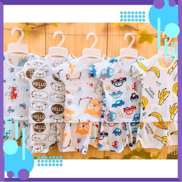 [Gấu con] Combo sỉ 25b cotton giấy cho bé híp híp hip1994@