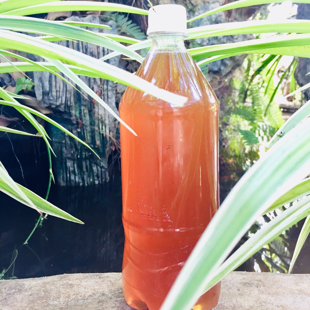 Mật Ong Nguyên Chất Mật Ong Hoa Cà Phê Đắk Lắk Mật Ong Tự Nhiên Không Pha - Quà tặng thiên nhiên từ núi rừng Tây Nguyên