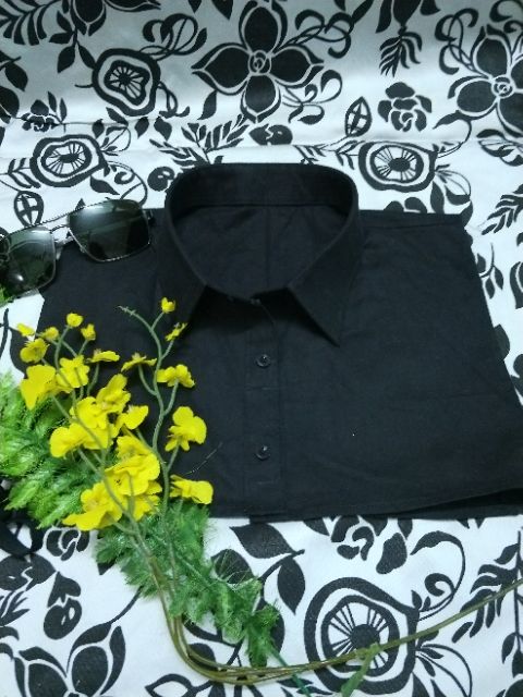 CỔ ÁO NAM giả sơ mi