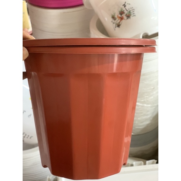 🌱Giá sỉ🌱 Chậu nhựa đỏ tròn dáng cao E260-E350 trồng hoa, cây cảnh