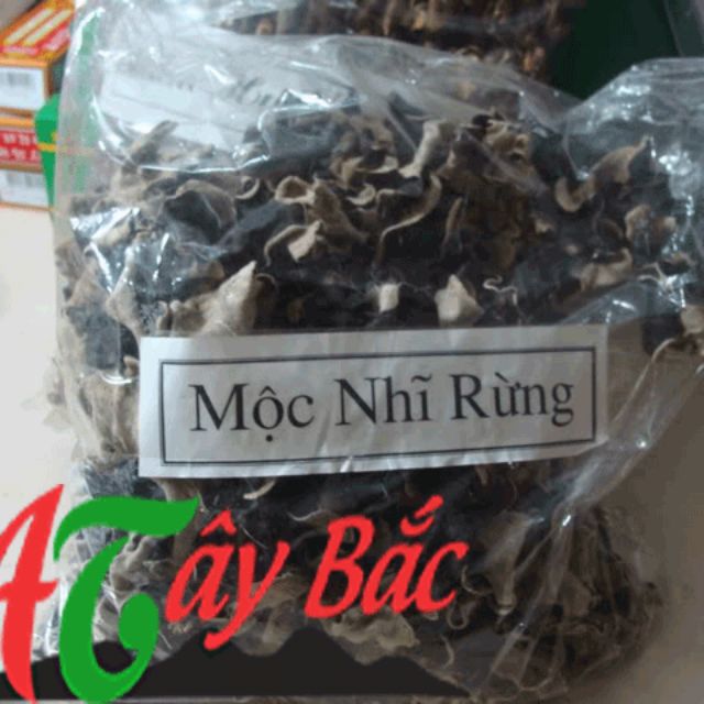 Mộc Nhĩ Rừng