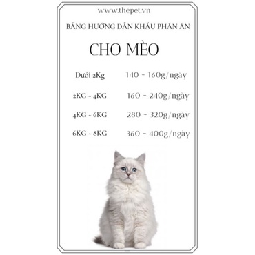 [CHÍNH HÃNG] PATE TƯƠI THE PET CHO CHÓ MÈO - HỘP 1KG