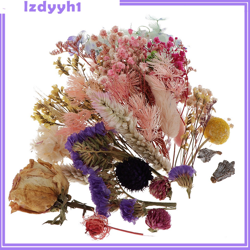 1 Hộp Hoa Khô Tự Nhiên Dùng Làm Thẻ Trang Trí Sổ Tay JoyDIY
