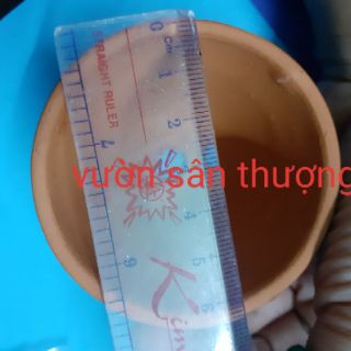 Chậu đất nung đỏ 6,5 x5 cm