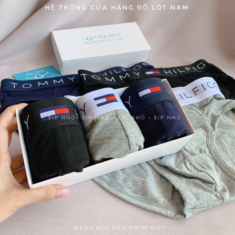 Quần lót tam giác tommy cotton thấm hút