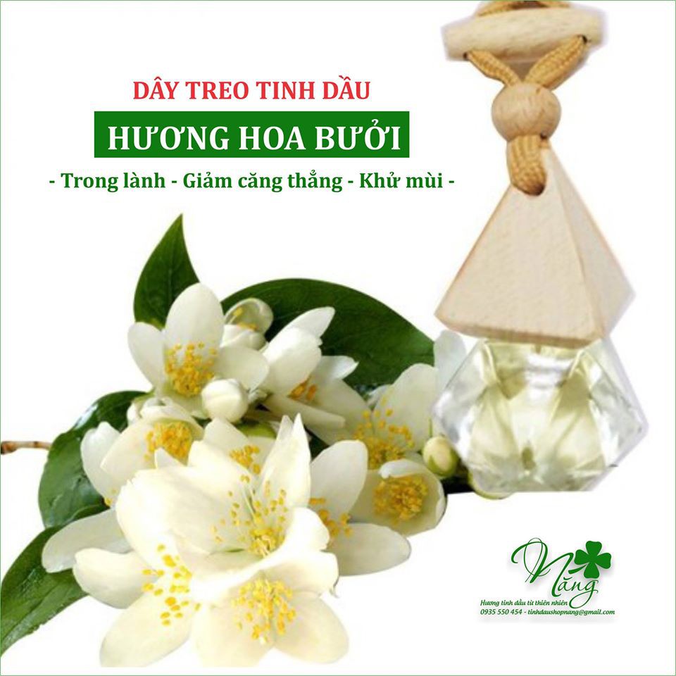 Tinh dầu treo xe Sả, Hoa Bưởi, Quế, Cam, Bạc Hà 10ml, khử mùi, giảm stress, chống say xe, an toàn, nguyên chất