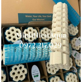 Sứ củ sen Mountain Tree Root 3 dành cho cá biển