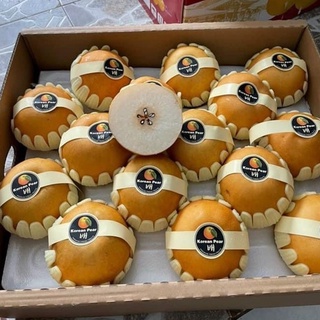 [1KG] Lê Nâu Hàn Quốc - Ship hàng siêu tốc