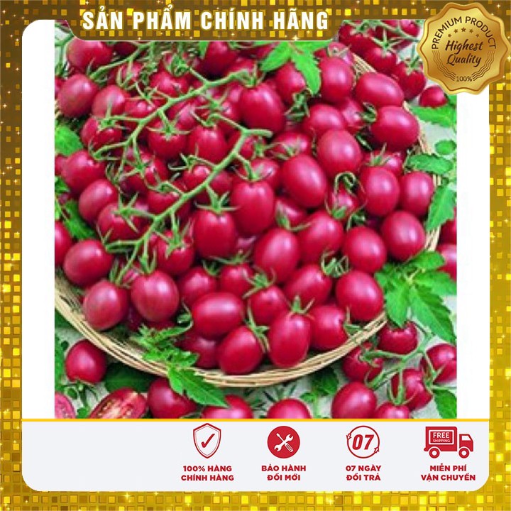 Hạt giống cà chua hồng LUCKY SEED -30 hạt