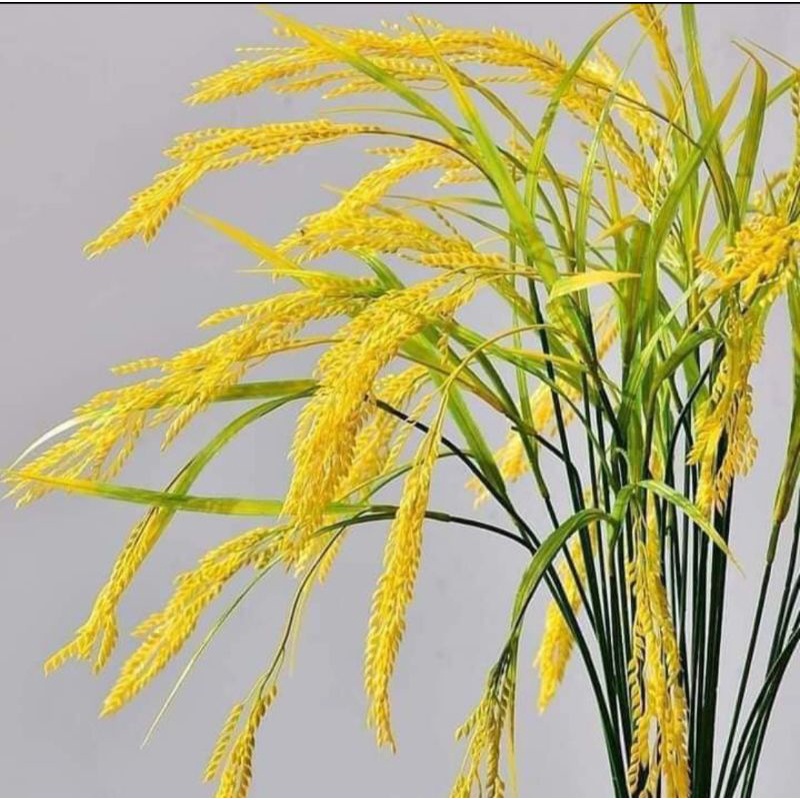 Cành Lúa gIả hàng đẹp cao 80cm - Hoa lá bằng nhựa, cành mềm mại - Lúa thể hiện sự ấm no, đủ đầy