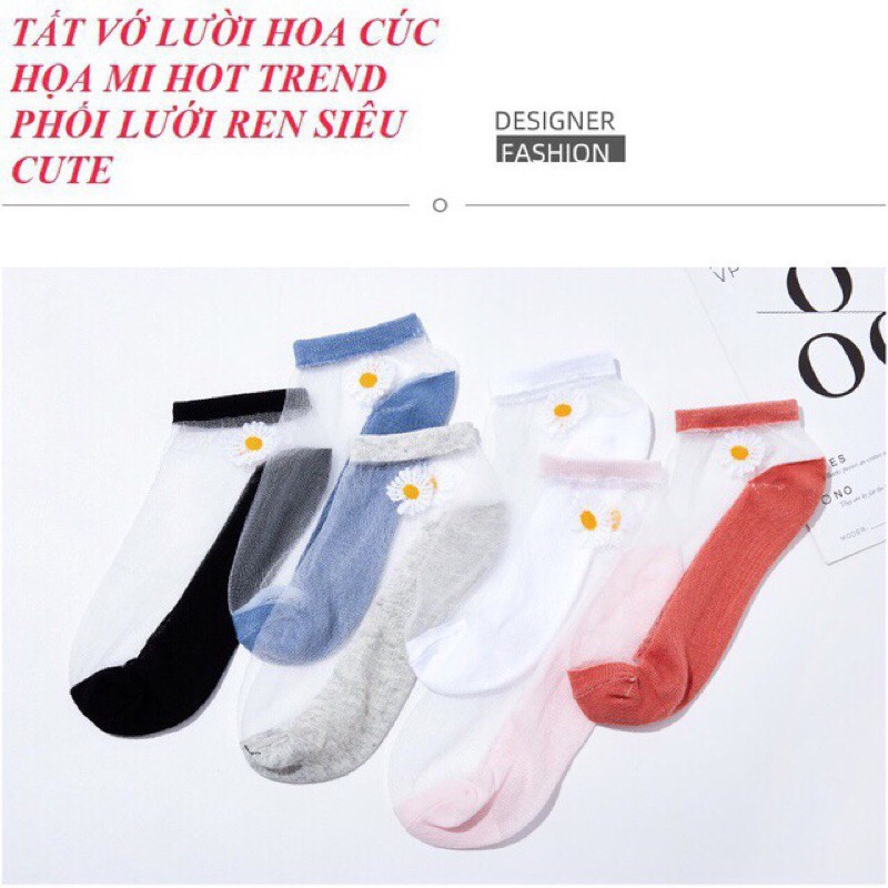 Sét 5đôi vớ thun cotton