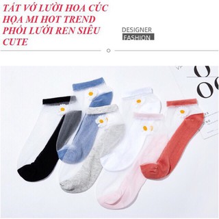 sét 5đôi vớ thun cotton (được chọn mẫu)