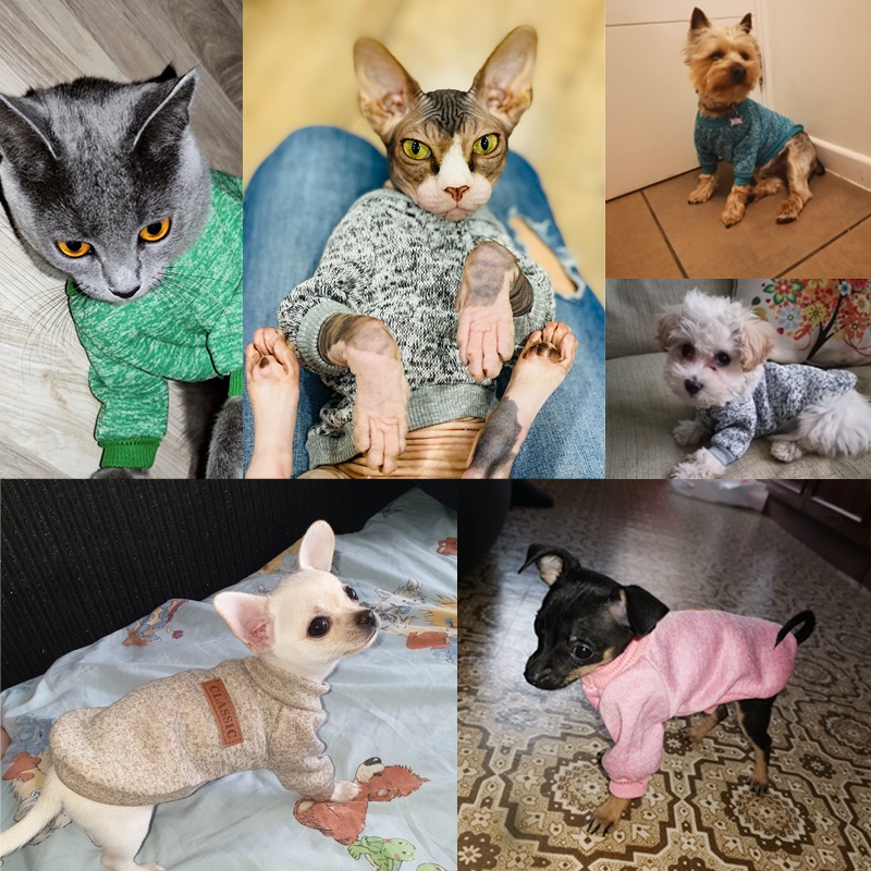 Áo Len Dễ Thương Cho Thú Cưng Nhiều Màu Tùy Chọn