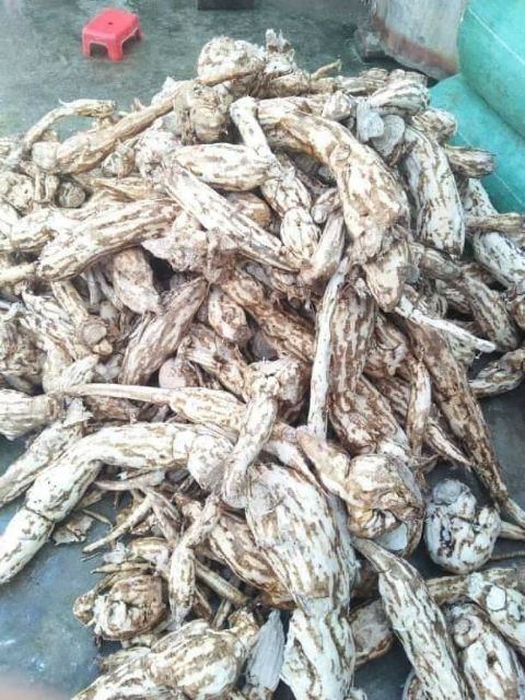 1000g tinh bột sắn dây nguyên chất