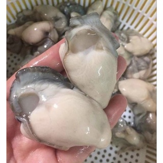 Ruột Hàu Sữa (Túi như hình 500g)