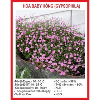 Combo hạt giống TÙY CHỌN!!!