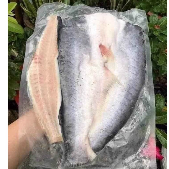 Cá dứa nuôi 1 nắng nguyên con tầm 1kg Chỉ giao TPHCM