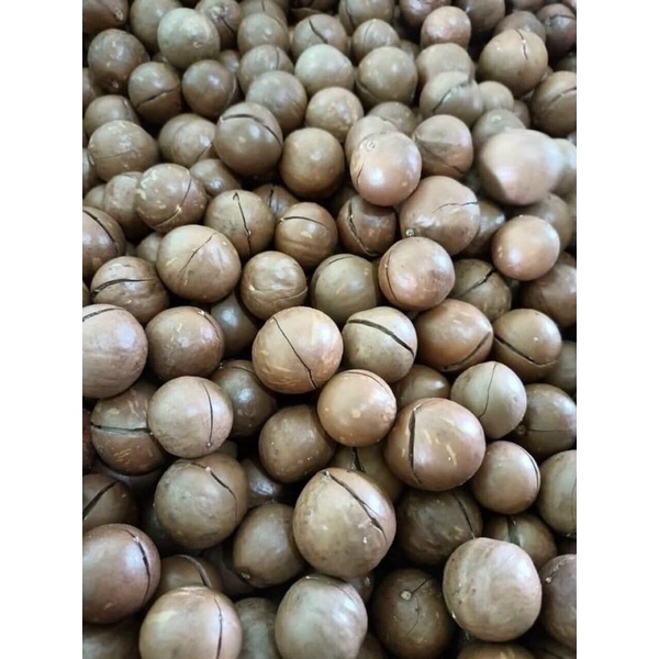 Hạt macca Trần Anh Food - Hạt macca Đắk Lắk sấy nứt vỏ size đại 28-32 500gr thơm ngon