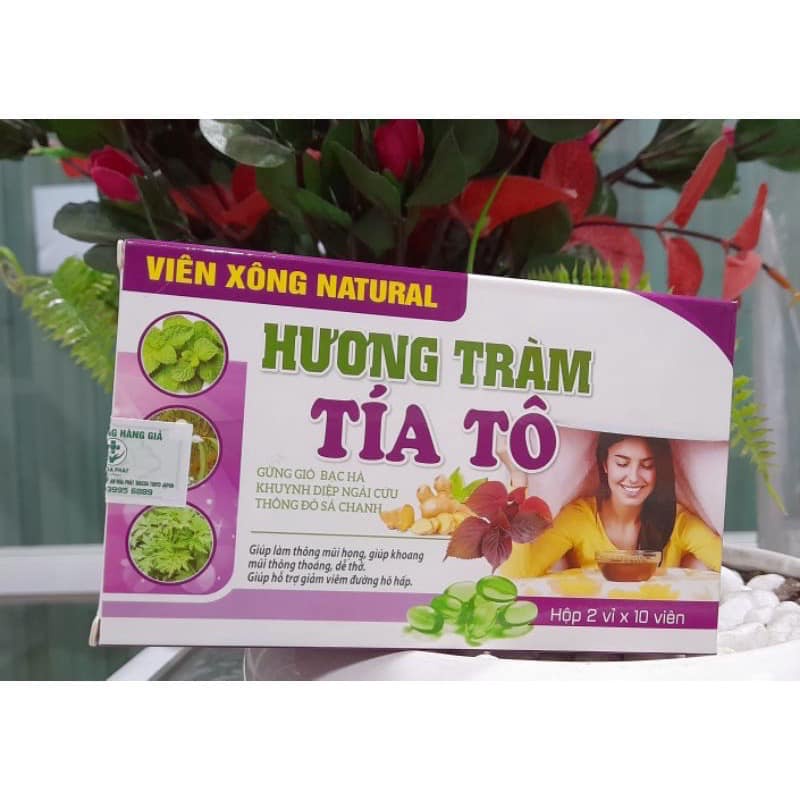 VIÊN XÔNG NATURE HƯƠNG TRÀM TÍA TÔ, HƯƠNG TRÀM TÍA TÔ GỪNG GIÓ