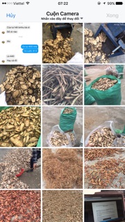 Gắm Khô Khắc Tinh Gout( hỗ trợ chuyển hóa và đào thải axit uric trong máu)