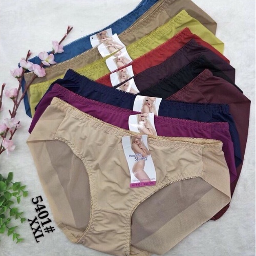 Quần Lót Nữ 5401 Trơn Hàng VNXK Siêu Nhẹ
