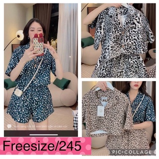 🌺 Set hoạ tiết freesize Loan Lâm🌺