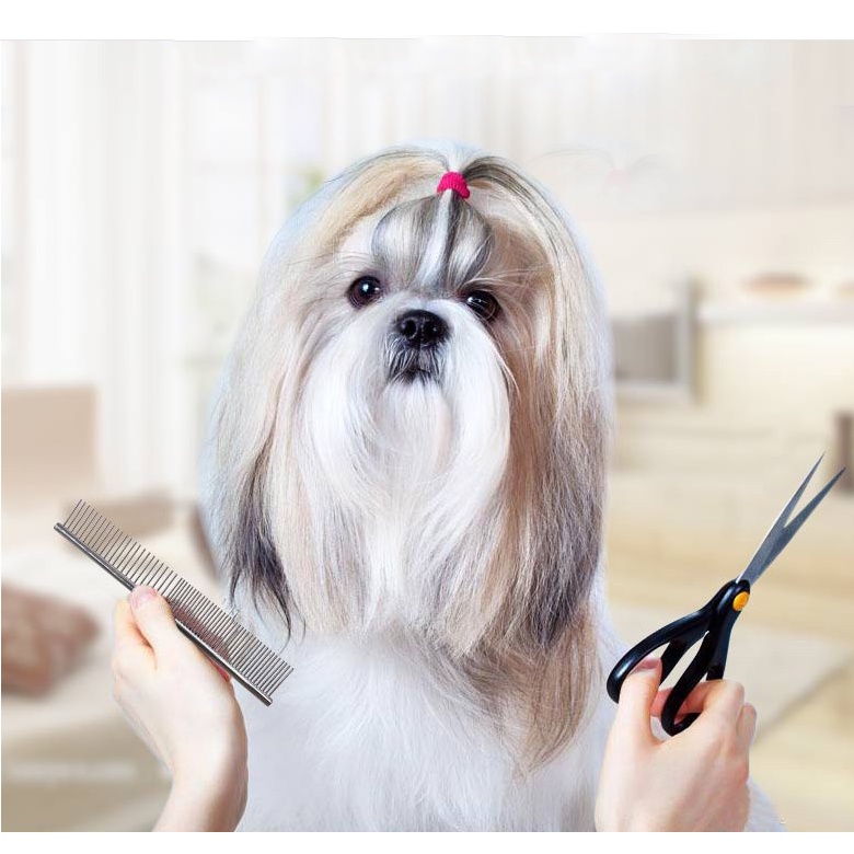 BÁN SỈ LƯỢC CHẢI LÔNG CHÓ MÈO BẰNG INOX SIZE 19*4CM (COMBO: 10 CÂY) - LOVE PETS SHOP