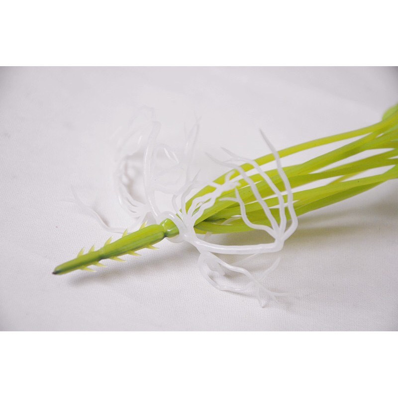 CAY GIA (phụ kiện chụp ảnh) - CÂY RAU MÁ - CỎ 4 LÁ NHẬT LÁ TRÒN TO