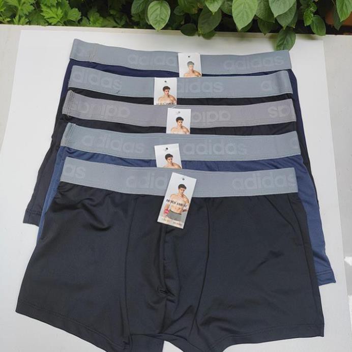 💖BÁN LẺ GIÁ SỈ💖 Combo 5 Quần Xịp Đùi Nam Sịp Đùi Cao Cấp Chất Coton Thoáng Mát, Thoải Mái Vận Động, Nam Tính