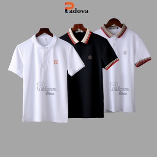 Áo polo nam có cổ đẹp, áo thun polo nam cao cấp, xu hướng thời trang mới nhất 2022 PADOVA - APL01