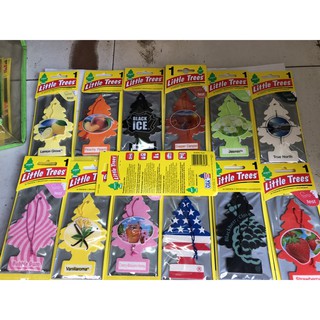 Cây thông thơm Little Trees